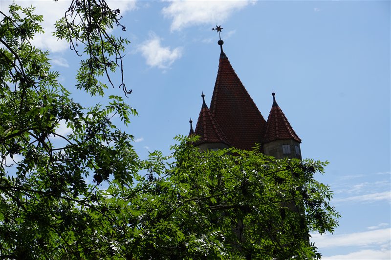 A stone tower with pointed red roofs rising behind leafy branches