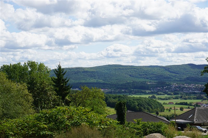 Rooftops and green trees overlooking a valley and forested ridge